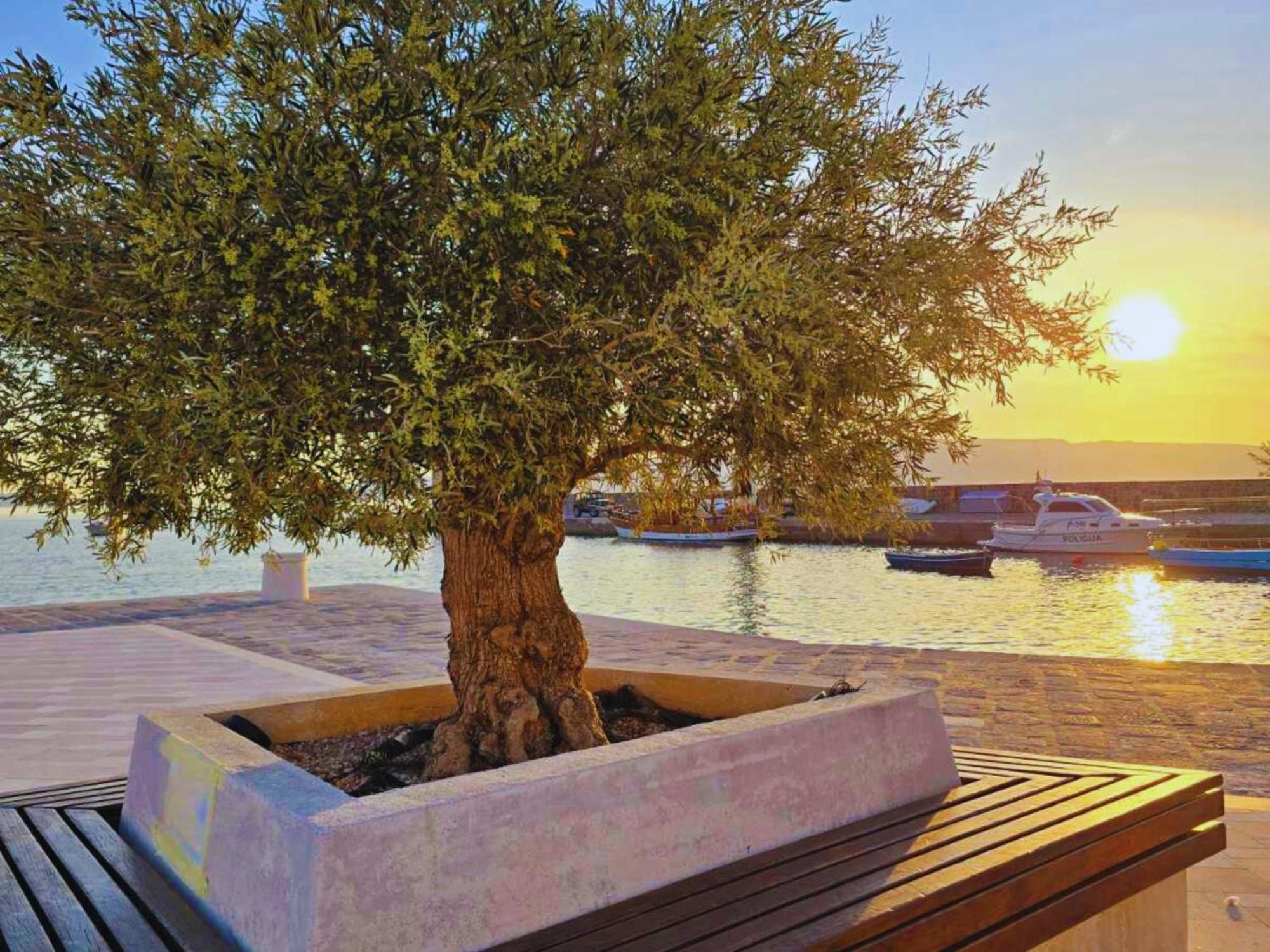 Lovely Apartments Senj Сен Екстериор снимка